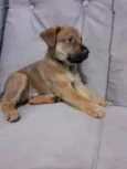 Marley