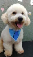 Billy