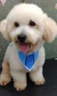 Billy