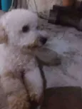 Billy