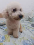 Billy