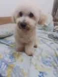 Billy