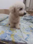 Billy