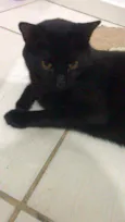 Bob