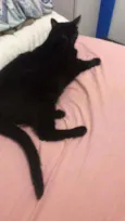 Bob
