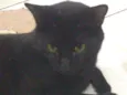 Bob
