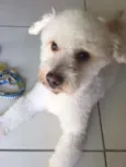 kiko