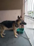 Kira