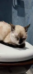 Barbara