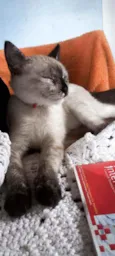Barbara