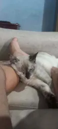 Barbara