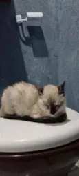 Barbara