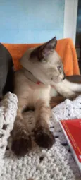 Barbara