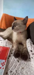 Barbara