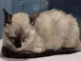 Barbara