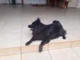 LUNNA