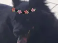 LUNNA