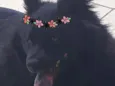 LUNNA
