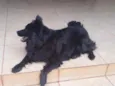 LUNNA