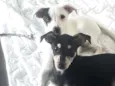 Lua e Sol