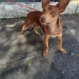 Lucky