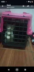 Não tem