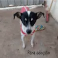 Jade e Kipo