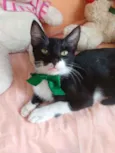Machinho.