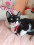 Machinho.