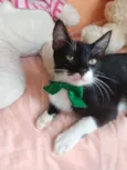 Machinho.