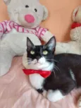 Machinho.