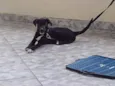 Apollo 