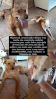 Tico