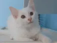 Nina 