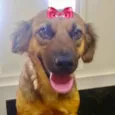 Vida 