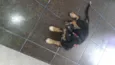 Spyk