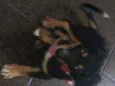 Spyk