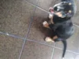 Spyk