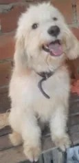 Odin 