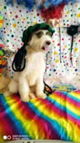 Odin 