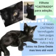 Flora e Oscar