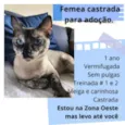 Flora e Oscar
