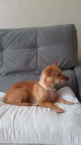 Mel