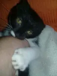 Nina