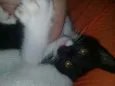 Nina