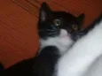 Nina