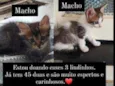 Não tem nomes