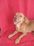 Mumu