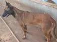 Zorá