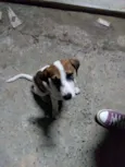 Não tem 